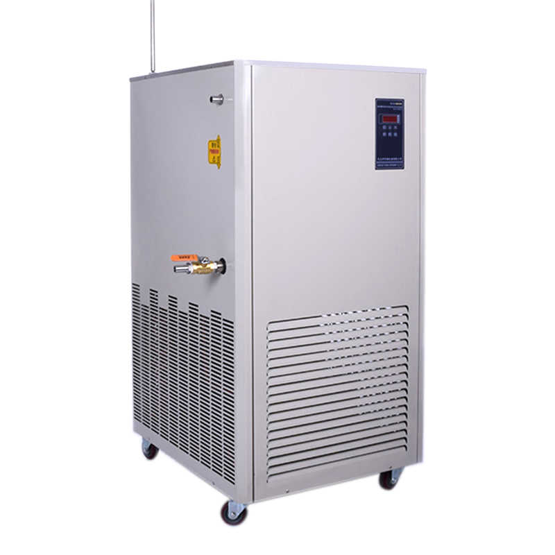 DLSB-100L 低溫冷卻液循環(huán)泵